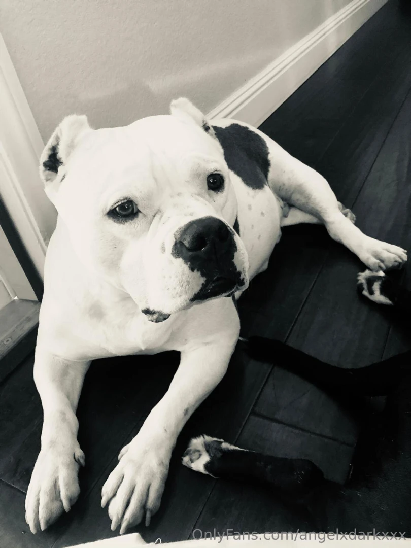 It s a bitter sweet homecoming i m glad to be home and that my father part 1 