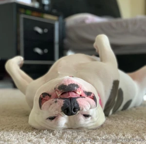 It s a bitter sweet homecoming i m glad to be home and that my father part 3