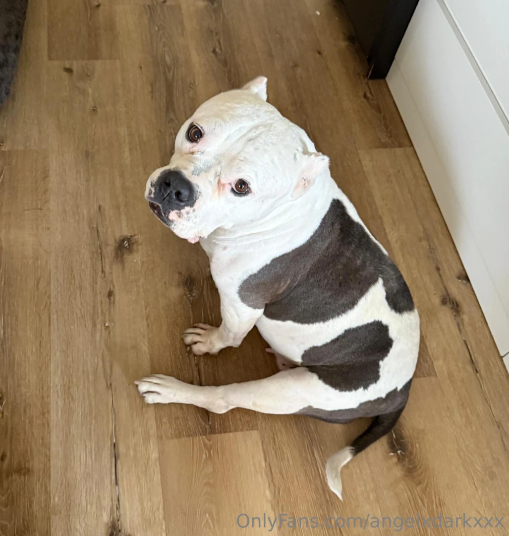 It s a bitter sweet homecoming i m glad to be home and that my father part 8 