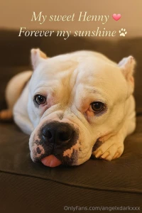 It s a bitter sweet homecoming i m glad to be home and that my father