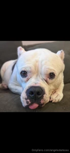 It s a bitter sweet homecoming i m glad to be home and that my father part 6