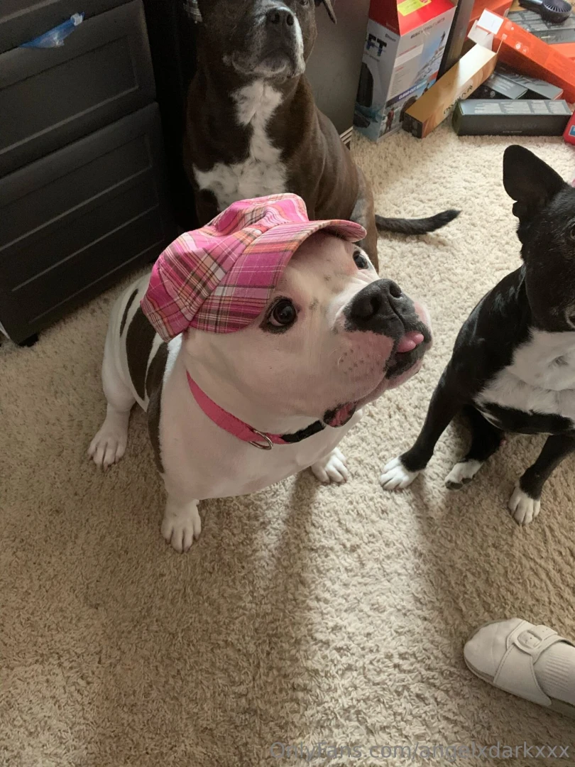 It s a bitter sweet homecoming i m glad to be home and that my father part 7 