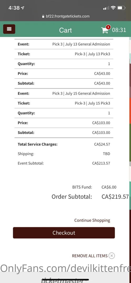 Help me raise bluesfest money 