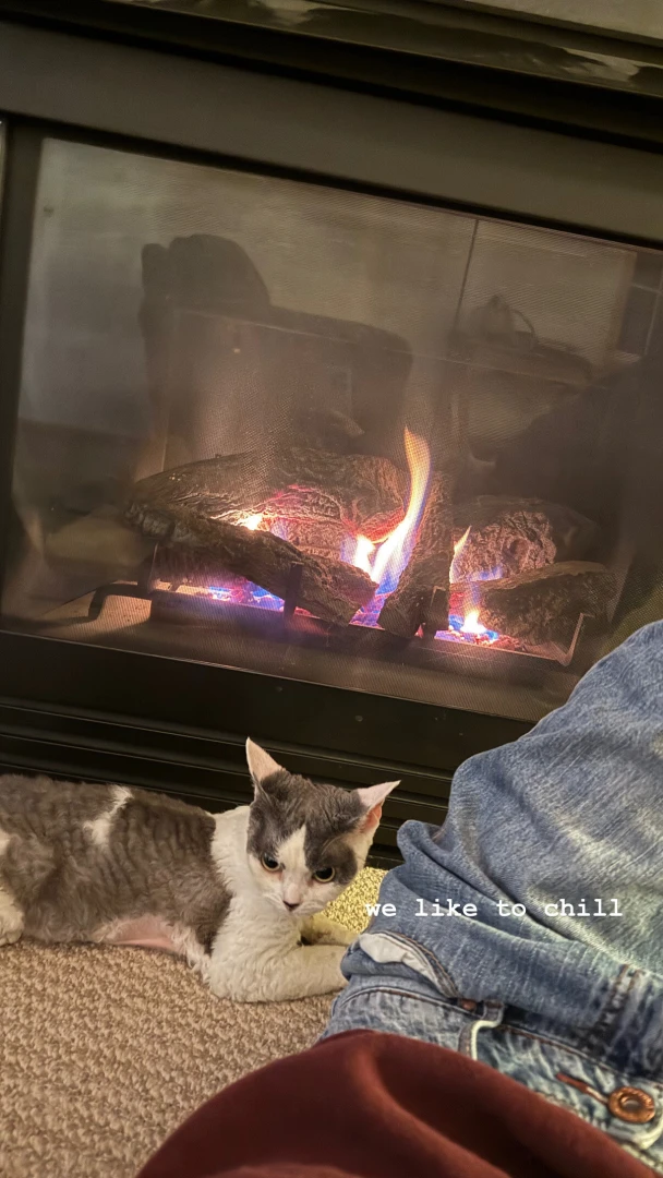 I lt 3 being cozy by the fireplace after a long day at school part 2 