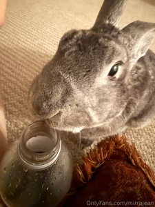 I turned the camera on because she kept trying to rip the cup out of