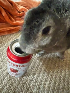 I turned the camera on because she kept trying to rip the cup out of part 2