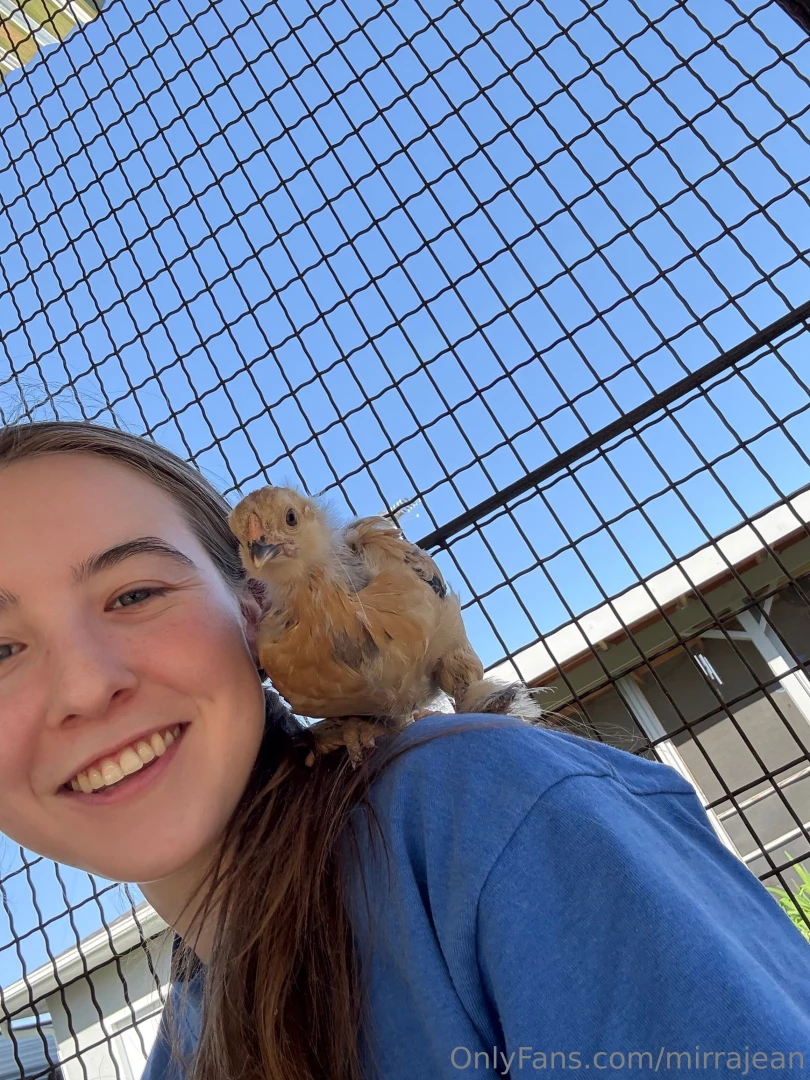 My friend got chickens i want pet chickens or ducks or quail i m not part 2 