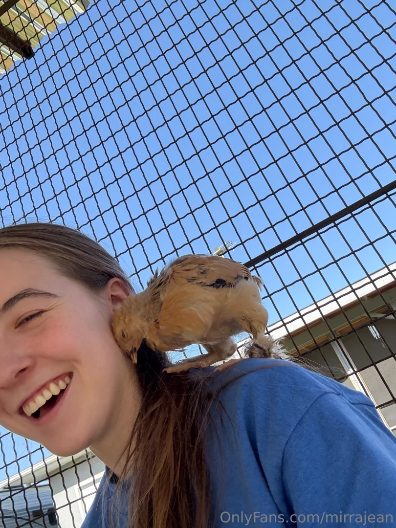 My friend got chickens i want pet chickens or ducks or quail i m not 