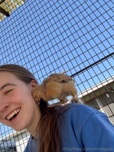 My friend got chickens i want pet chickens or ducks or quail i m not