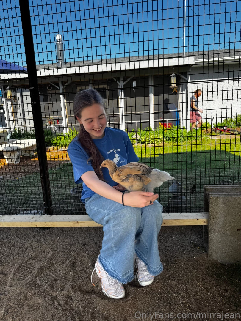 My friend got chickens i want pet chickens or ducks or quail i m not part 3 