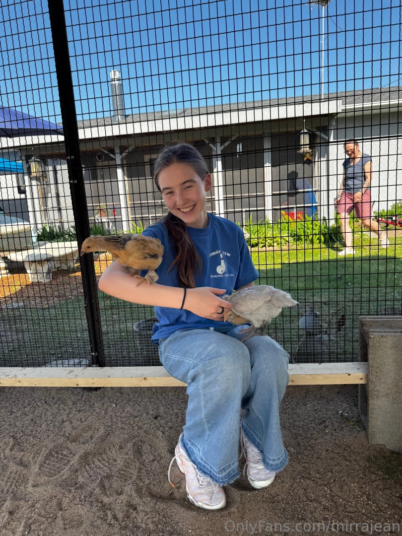 My friend got chickens i want pet chickens or ducks or quail i m not part 1 