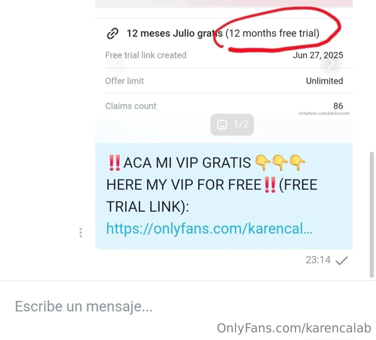 Revisen sus chat privados quienes se les esta por vencer la 