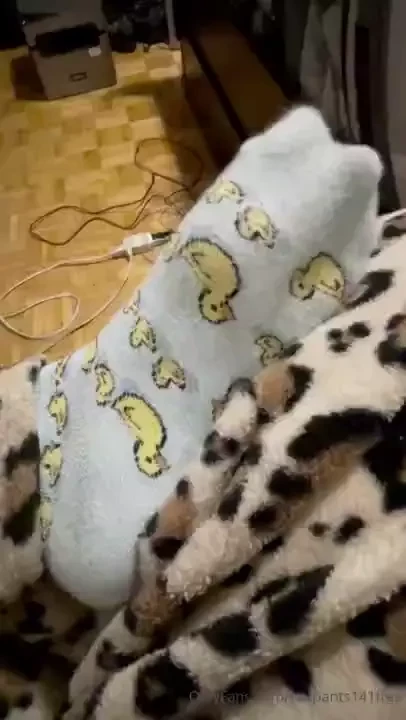 I show you my new duck socks 