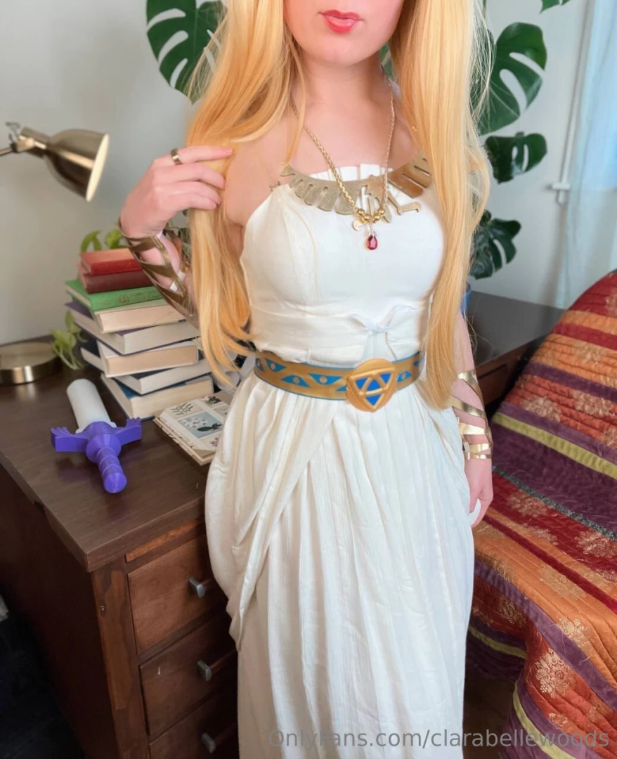 Zelda s new groove 
