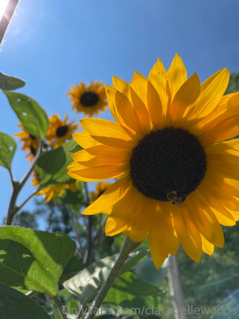 Sending out a garden club update tomorrow don t miss it https onlyfans 