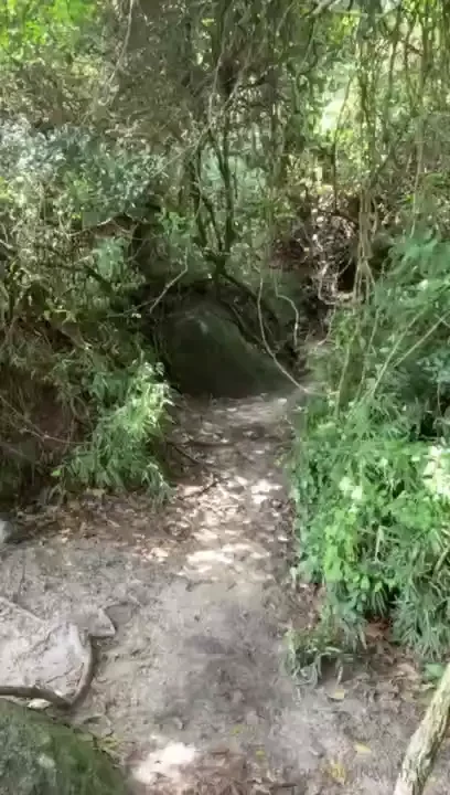 Come let s fuck in the forest onlyfans com bulltovich_ok 