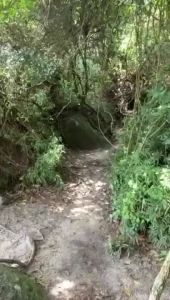 Come let s fuck in the forest onlyfans com bulltovich_ok