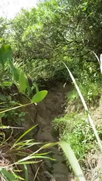 Bulltovich-ok part 787 