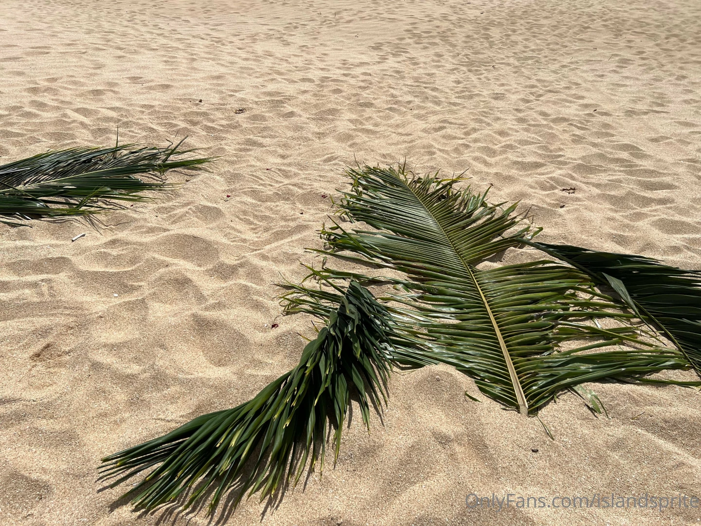 To attract better become better part 1 