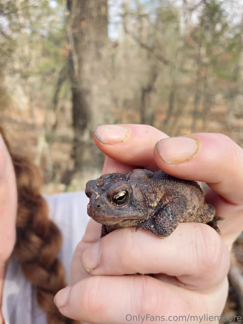 Found this cute little toad in the ozarks of arkansas 