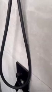 Vienes a la dicha conmigo