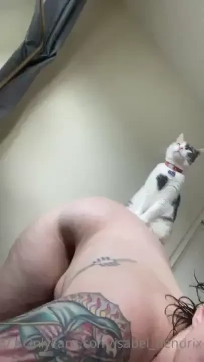 Let s all take a moment to appreciate chicken s amazing balancing part 4 