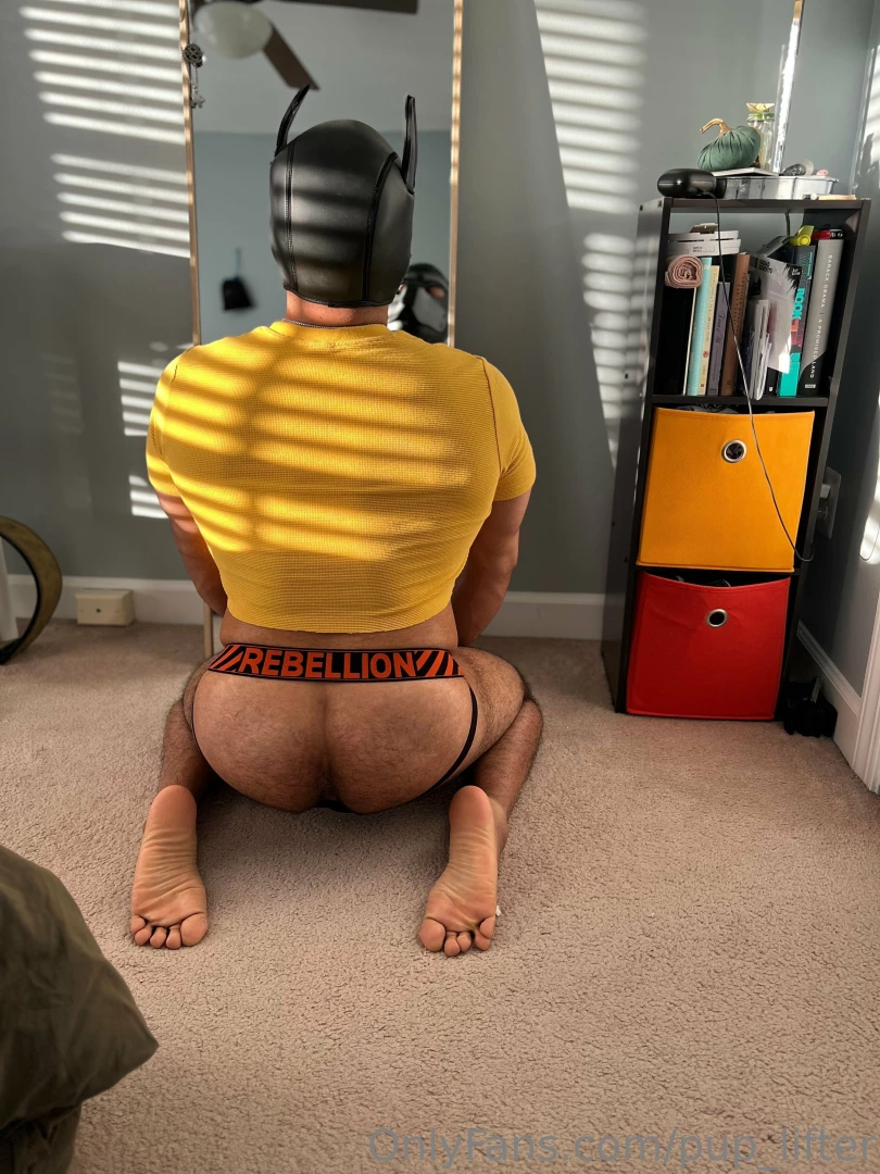This pup needs to be fed part 2 