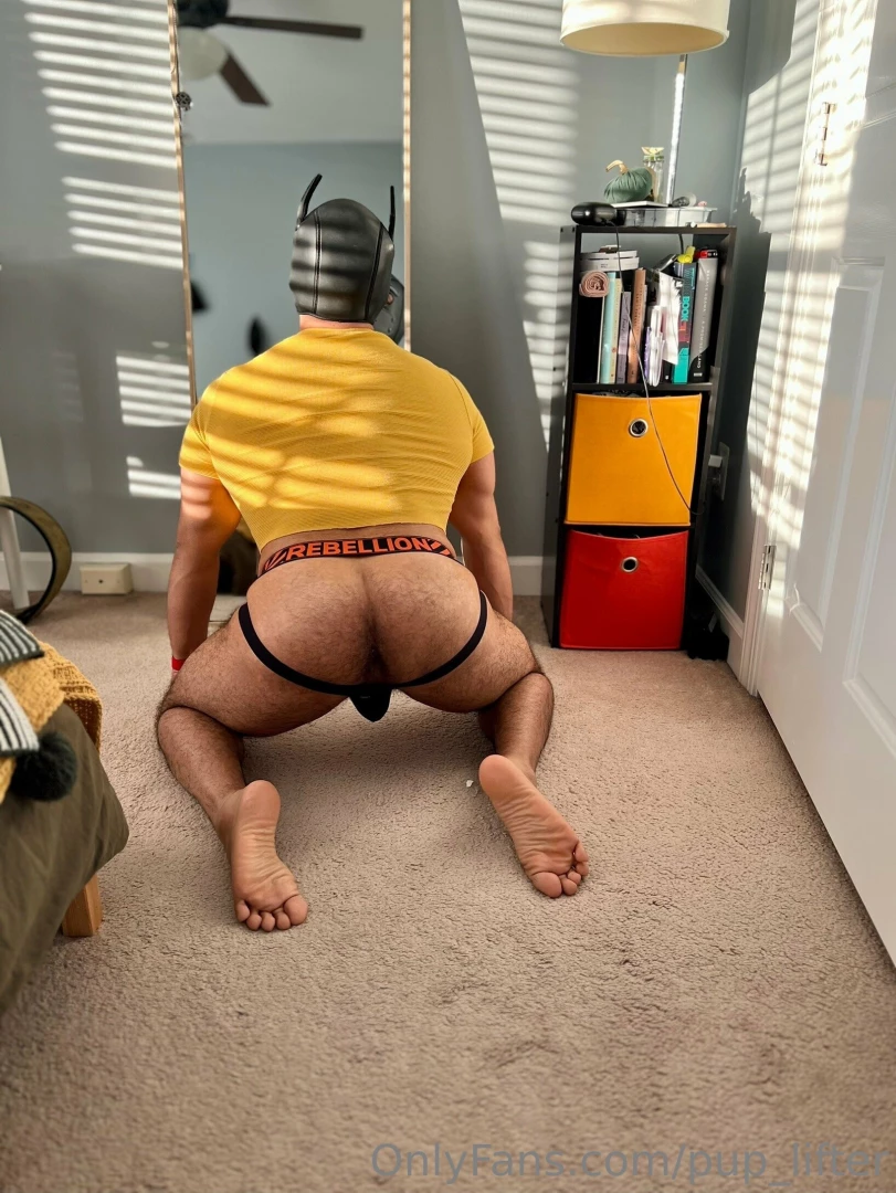 This pup needs to be fed part 4 