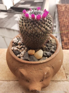 For a hotter content subscribe for my vip account