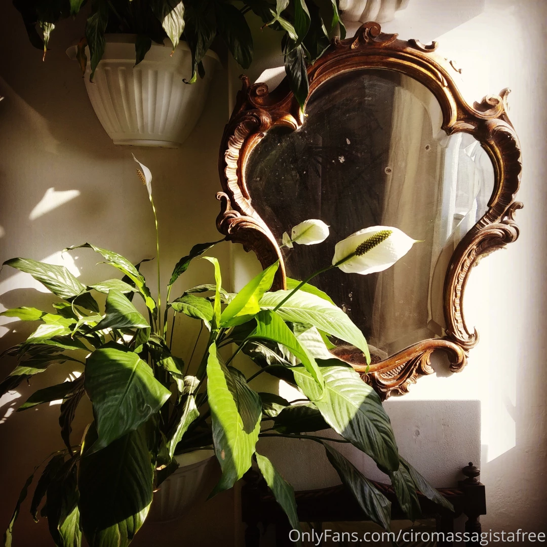 Ciromassagistafree part 24 