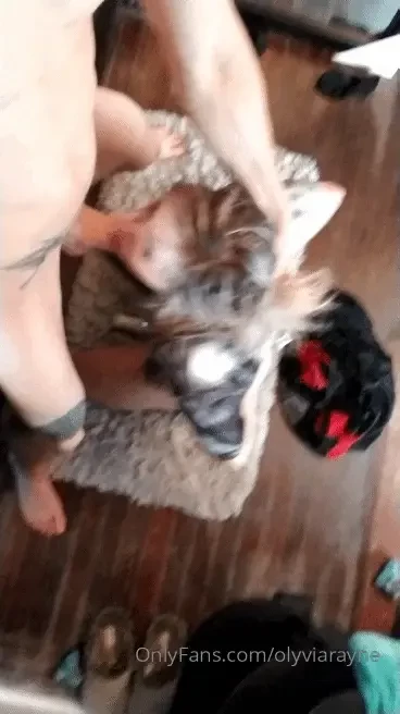 Olyviarayne part 170572 