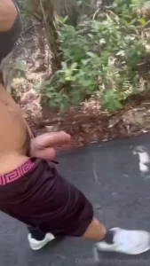 Nature walks gt gt gt gt