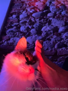 Sei il mio gattino part 1