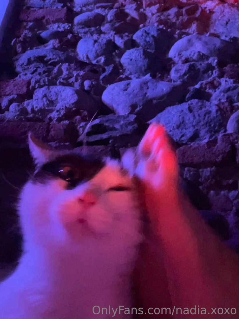 Sei il mio gattino part 3 