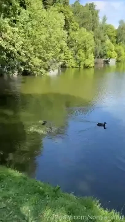 While your goddess is living the best life walking at beautiful places part 1 