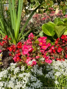 I will miss the summer fyp femdom findom mistress bdsm fetish goddess part 1