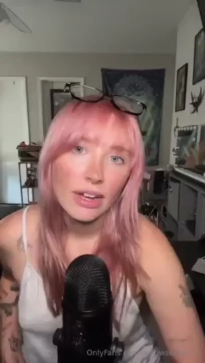 A little life update i fostered a new kitten this is my 25th foster i part 2 