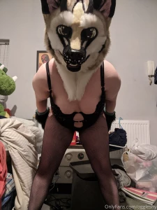 Hello gorgeous wanna tip this baby she will give treats