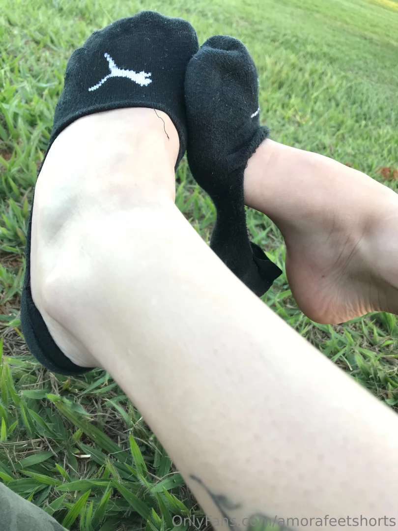 Oie boa noite part 7 