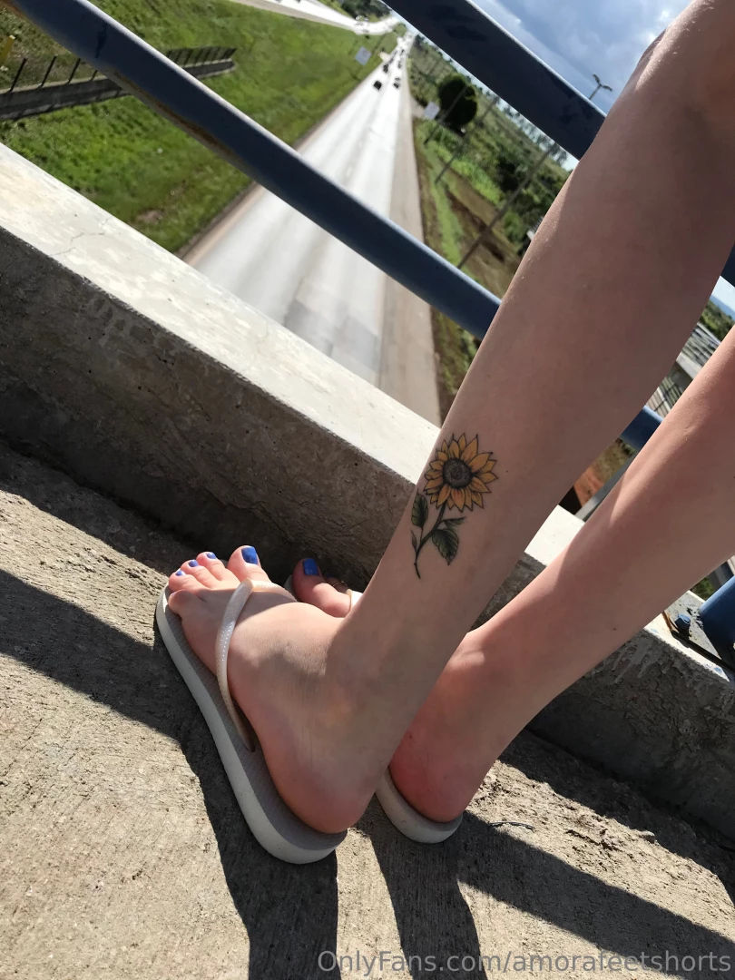 Boa tarde amores part 7 