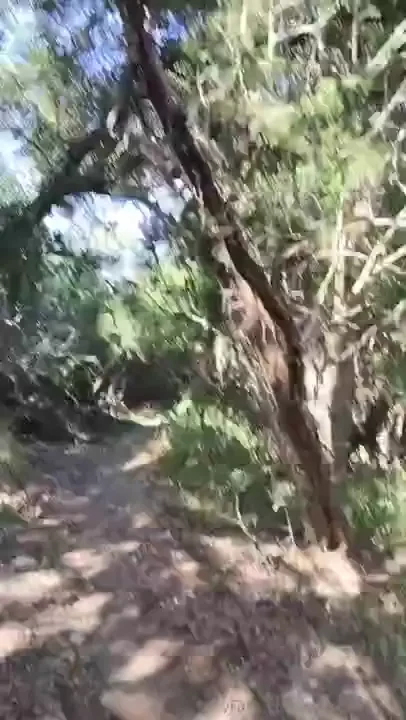 Yesterday i got in a three mile hike it was so much fun and so very 