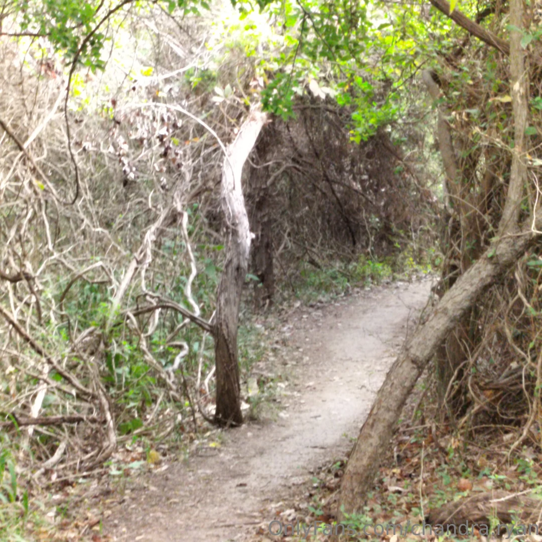 Pics from my walk today part 9 