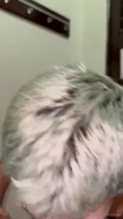 Cazadormxfree part 4 