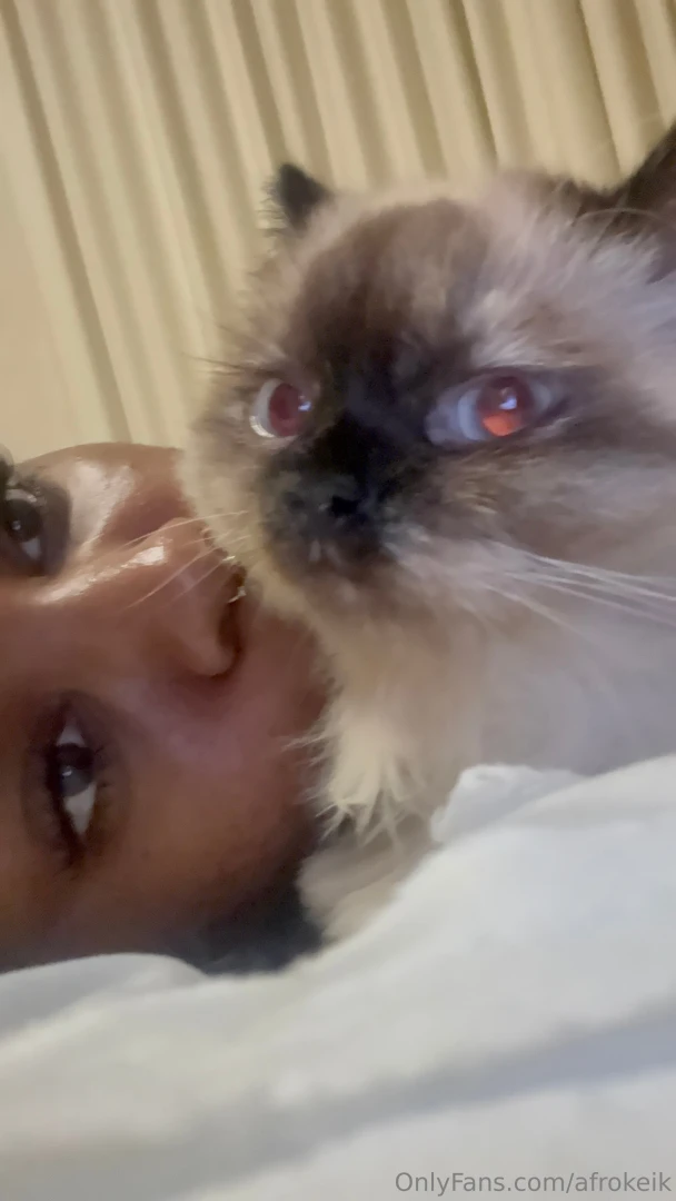 Don t pet the kitty unless you can handle the claws 