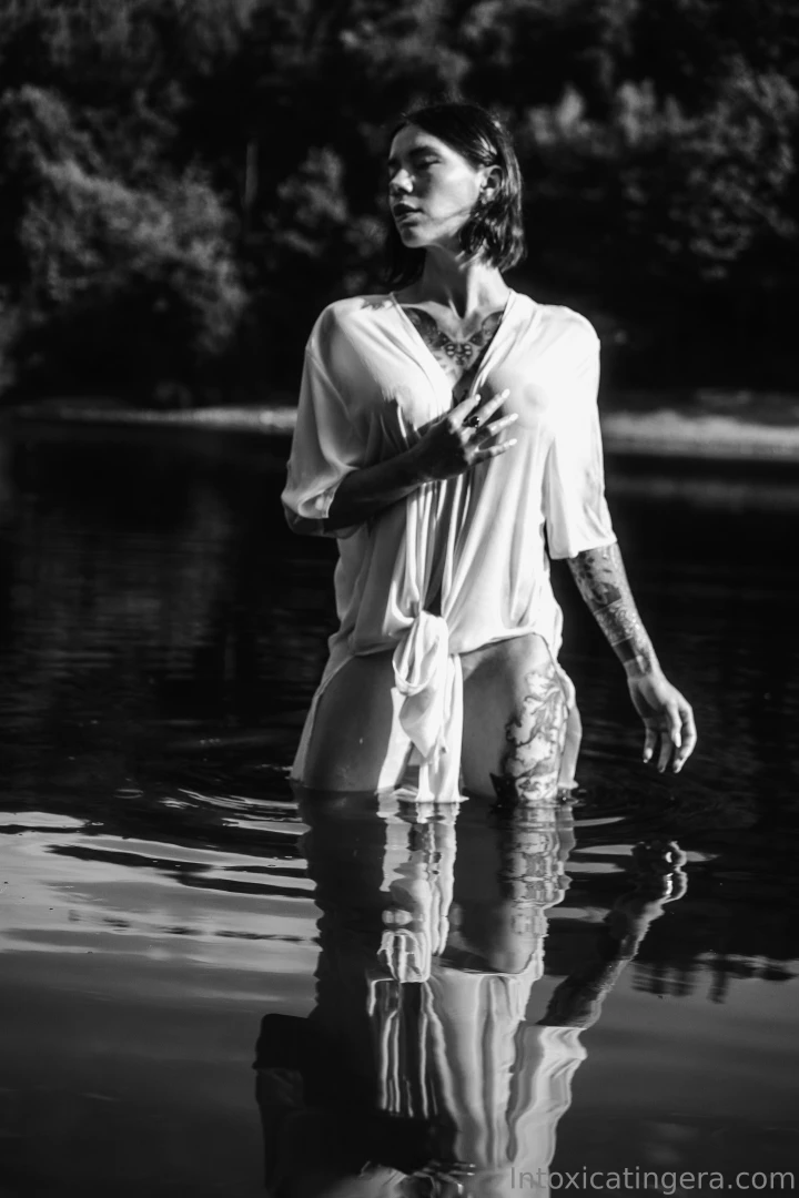 In the glow of the setting sun where shadows gently begin to flow part 1 