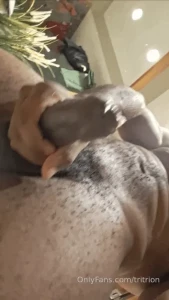 Comment me if your ready for this tape