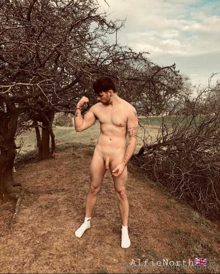 Alfienorth alfienorth alfienorth alfienorth 800 posts collaboration part 95 