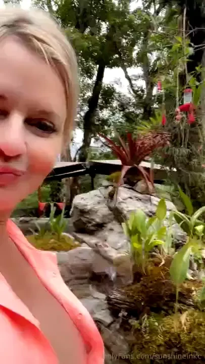 Look at all these different hummingbirds 