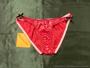 The newest satin additions to my panty drawer take a peak at my new part 1