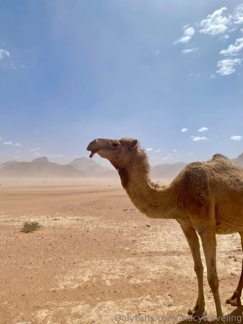 Sorry i couldn t post anything last weekend i was on the road to visit part 3 